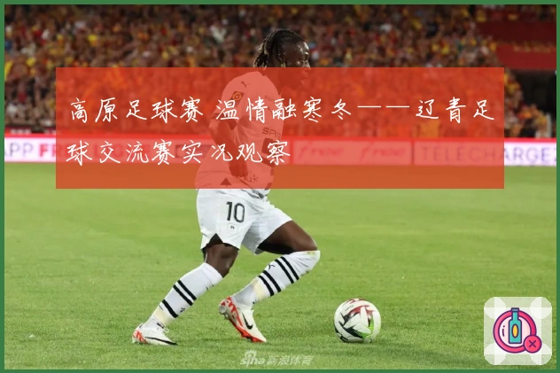高原足球赛 温情融寒冬——辽青足球交流赛实况观察