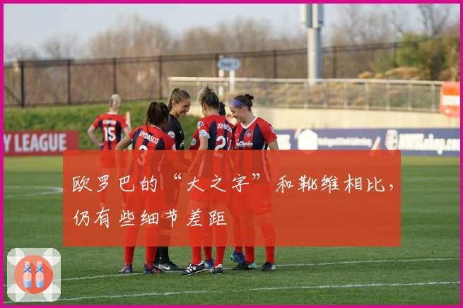 欧罗巴的“大之字”和靴维相比，仍有些细节差距