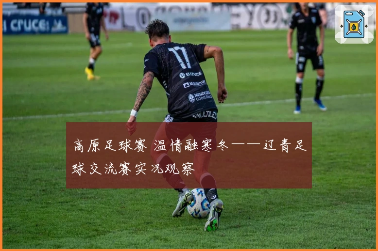 高原足球赛 温情融寒冬——辽青足球交流赛实况观察