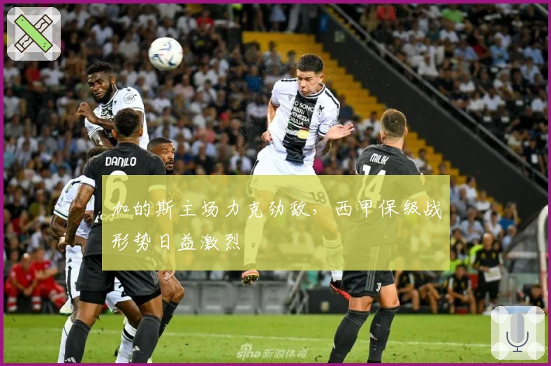 加的斯主场力克劲敌,西甲保级战形势日益激烈