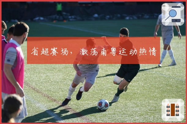 省超赛场，激荡南粤运动热情