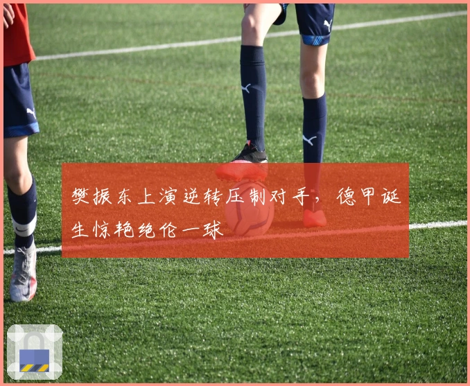 樊振东上演逆转压制对手，德甲诞生惊艳绝伦一球